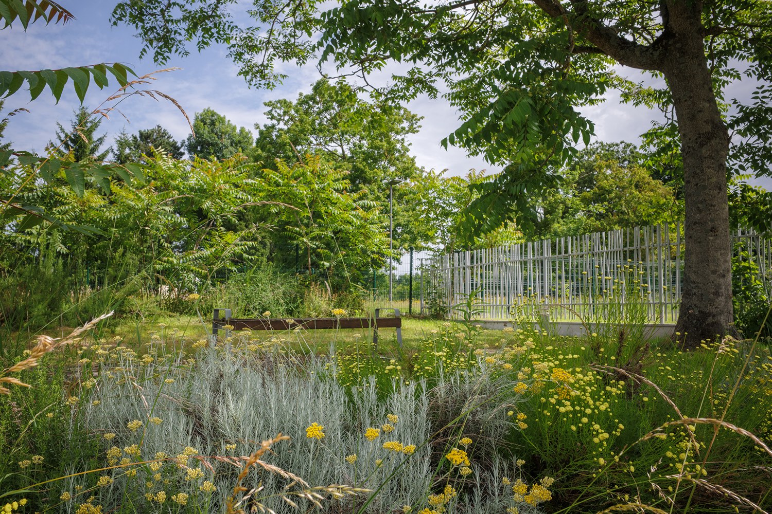 Jardin avec bacs de plantation aromatiques