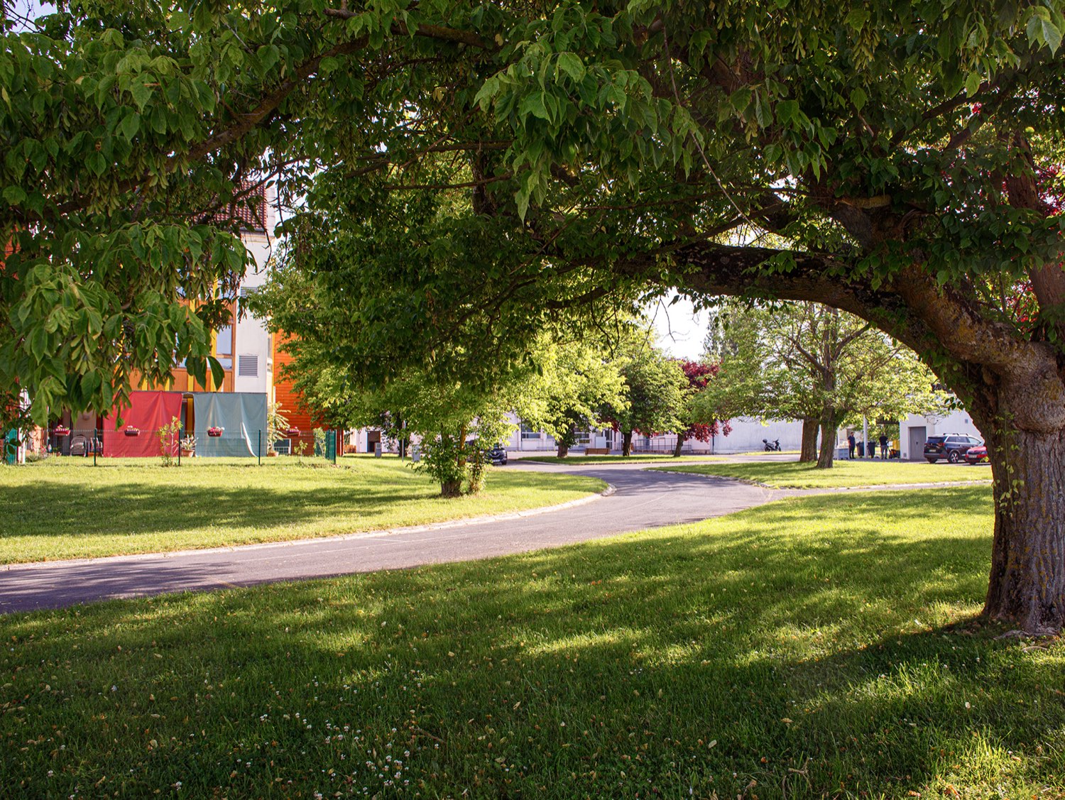 Parc arboré de l'établissement